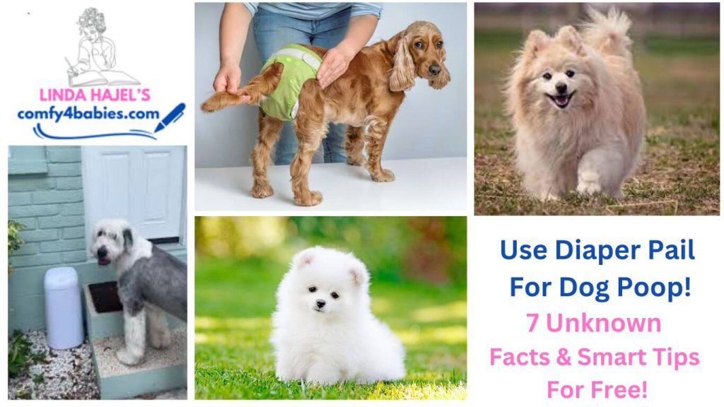 Diaper Pail For Dog Poop? Smart 11 Ideas Hacked Free!